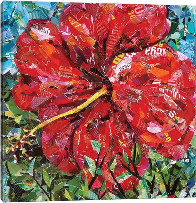 Bright Red Hibiscus Canvas Art Print - Eileen Downes