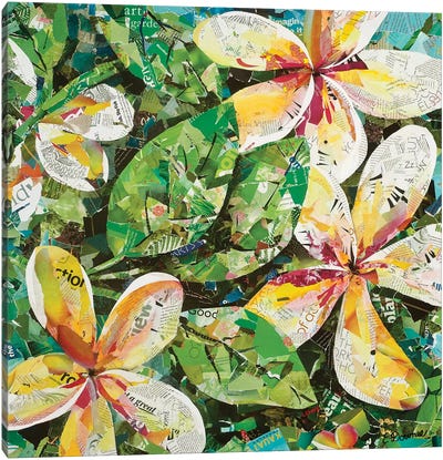 Maui Wish Canvas Art Print - Eileen Downes