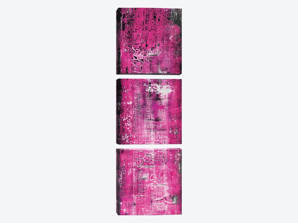 Pink by Edelgard Schroer 3-piece Canvas Art Print