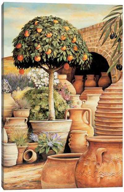 Orange Topiary Canvas Art Print