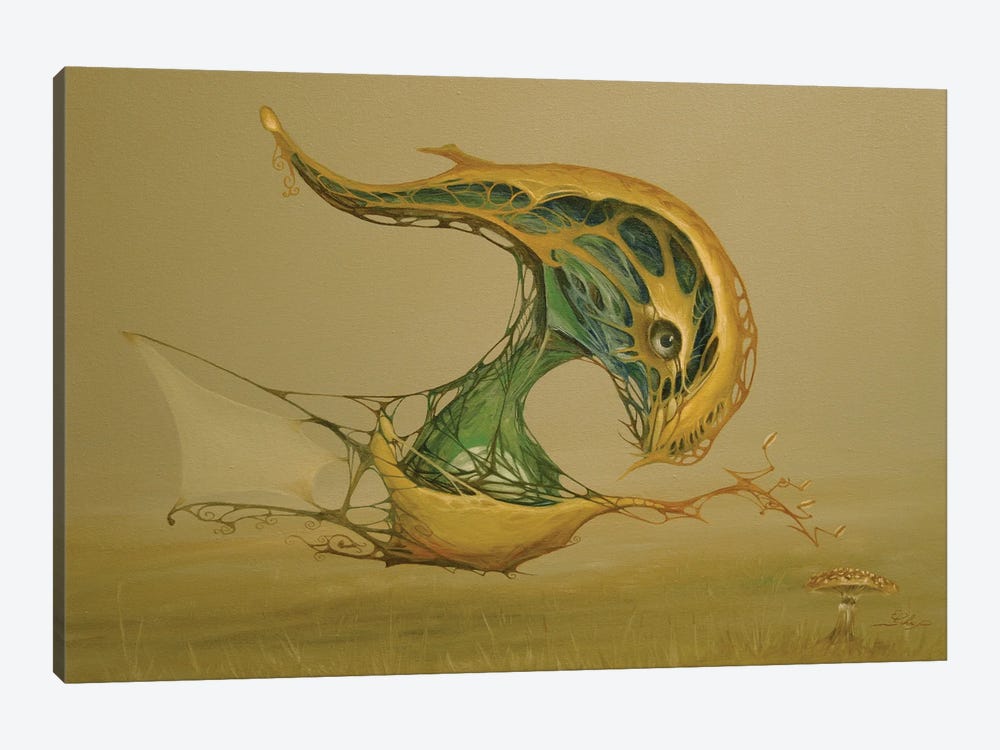 Mushroom Whisperer by Ed Schaap 1-piece Canvas Print