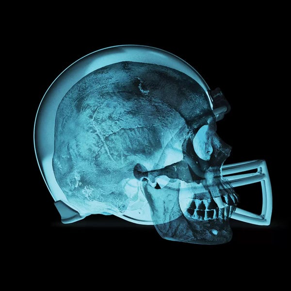 Helmet Skull