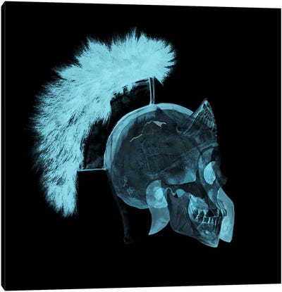 Skull Gladiator Canvas Art Print - Electromagnetic Exposure