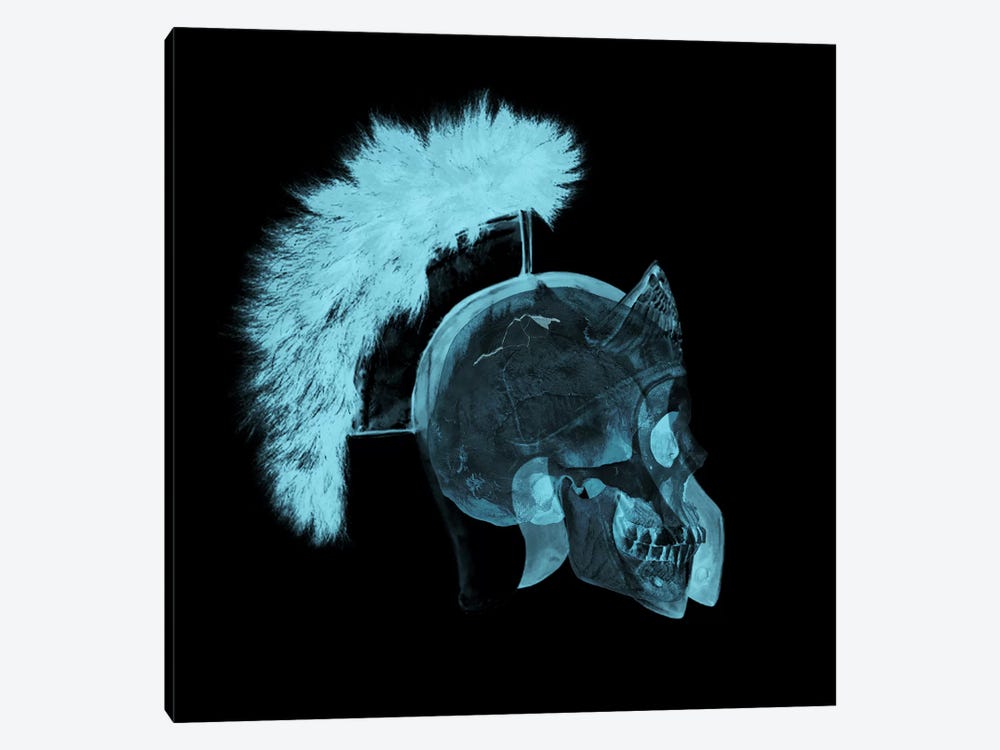 Skull Gladiator by 5by5collective 1-piece Canvas Wall Art