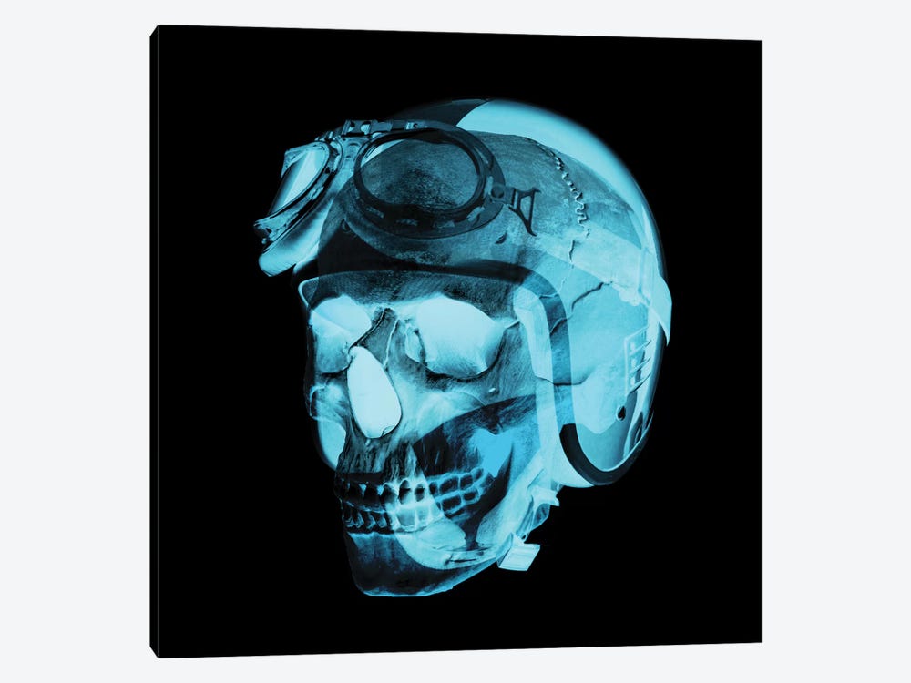 Skull Pilot by 5by5collective 1-piece Canvas Art Print