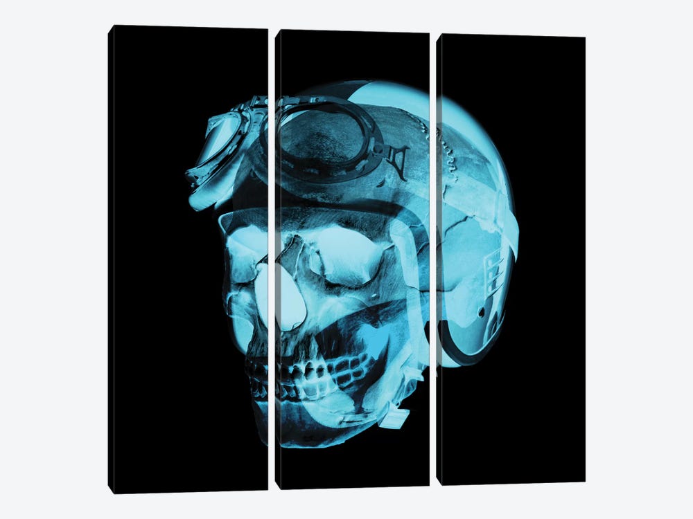 Skull Pilot by 5by5collective 3-piece Canvas Art Print