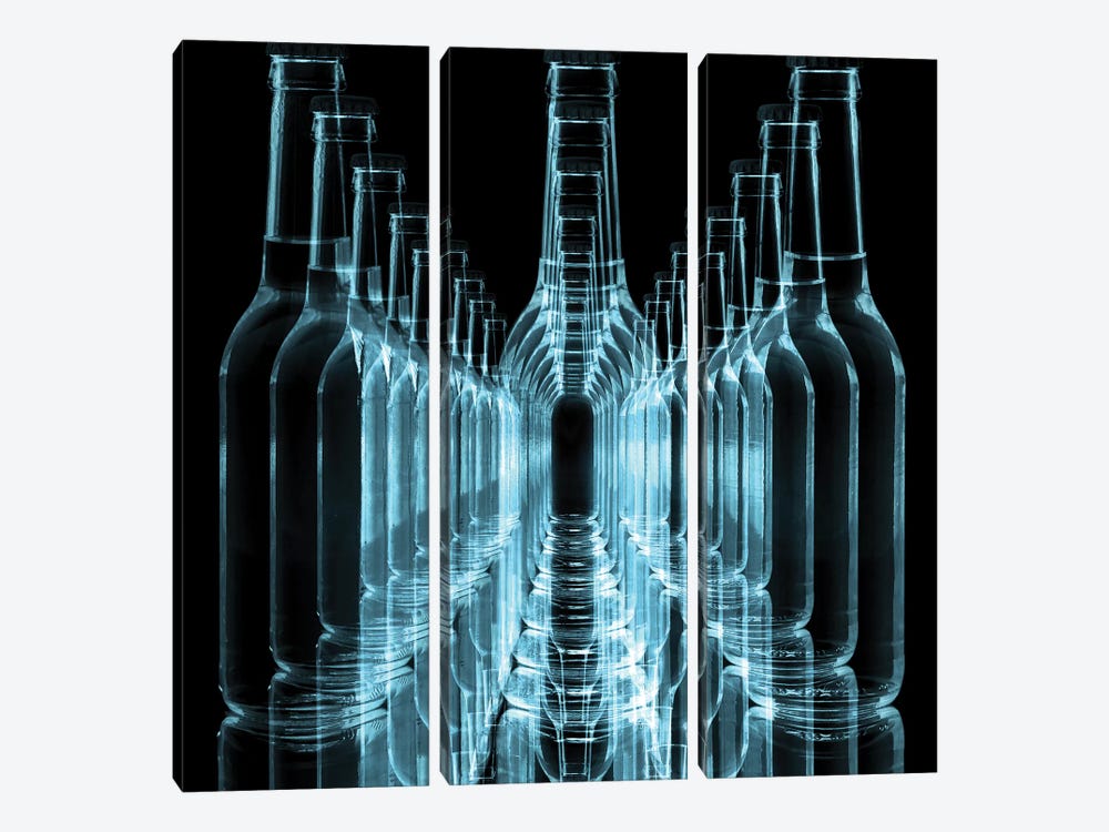 Bottle Service II by 5by5collective 3-piece Canvas Art