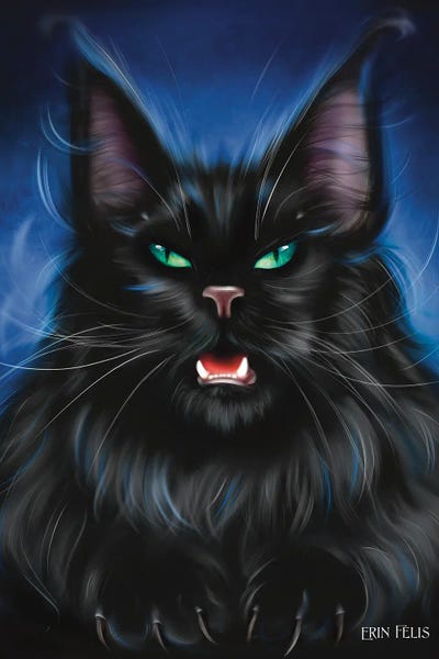 Erin Felis: Danger Cat by Erin Felis