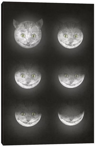 Waning Cheshire Canvas Art Print - British Shorthair Cat Art