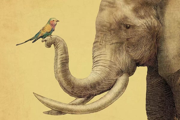 Children's Illustrations: A New Friend by Eric Fan