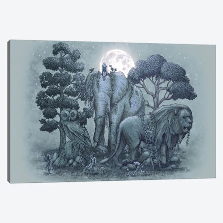 Midnight in the Stone Garden Canvas Print #EFN2} by Eric Fan Art Print