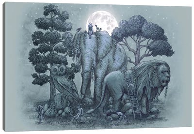 Midnight in the Stone Garden Canvas Art Print - Animal Illustrations