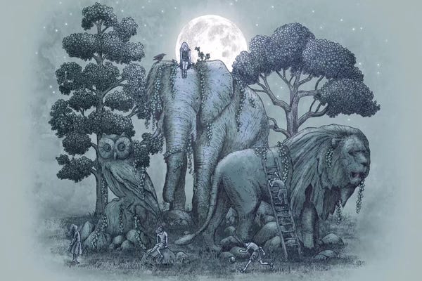 Book illustrations: Midnight in the Stone Garden by Eric Fan