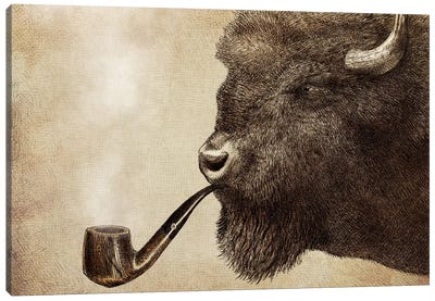 Big Smoke Canvas Art Print - Bison & Buffalo Art
