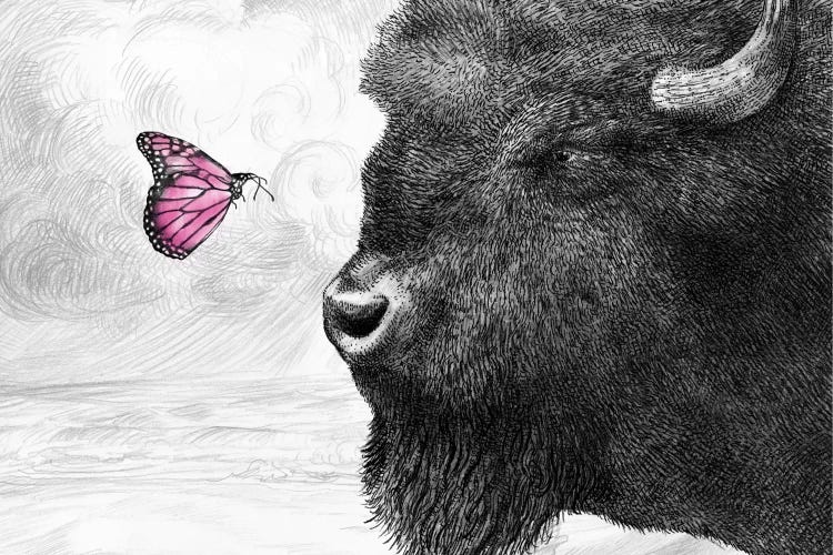 Bison and Butterfly by Eric Fan wall art