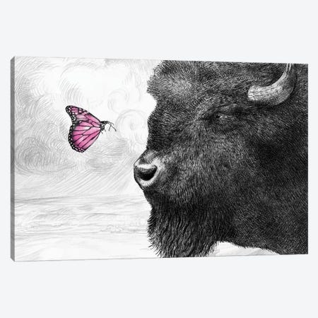Bison and Butterfly Canvas Print #EFN31} by Eric Fan Canvas Artwork