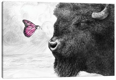 Bison and Butterfly Canvas Art Print - Book Illustrations 