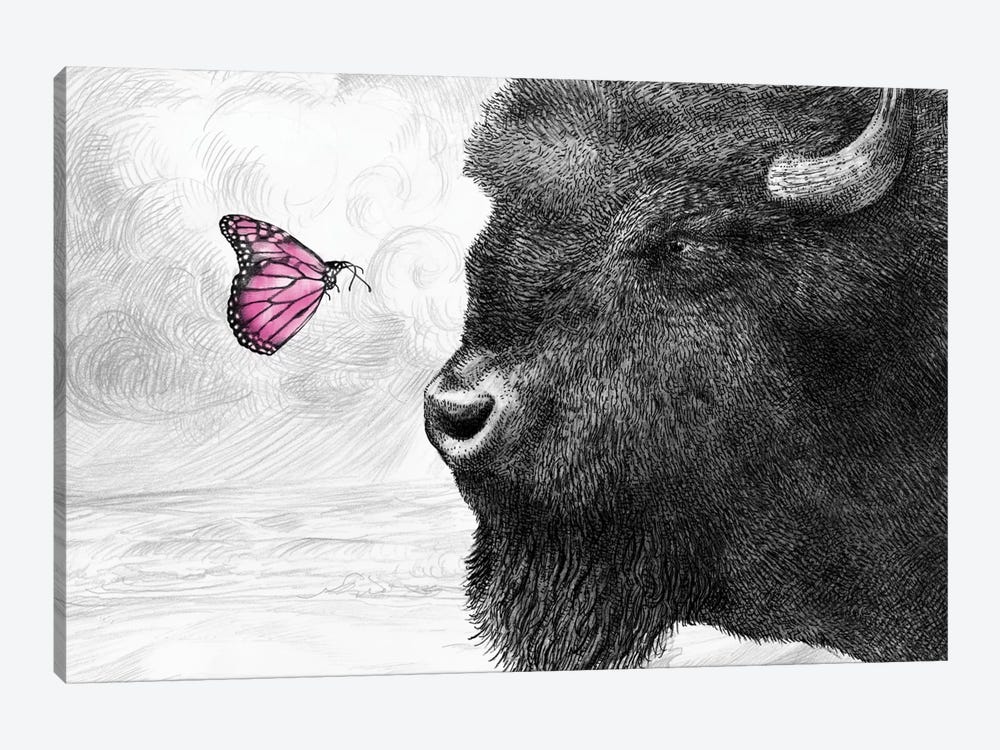 Bison and Butterfly 1-piece Canvas Art Print
