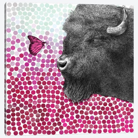 Bison and Butterfly I Canvas Print #EFN40} by Eric Fan Art Print