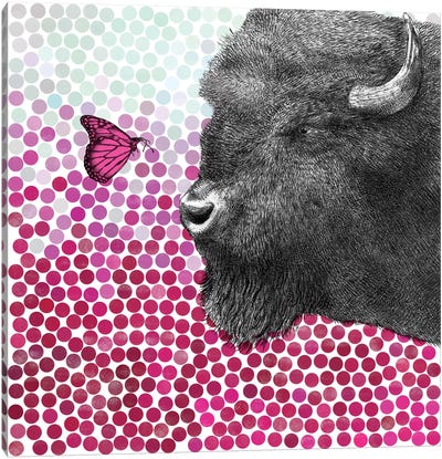 Bison and Butterfly I Canvas Art Print - Polka Dot Patterns