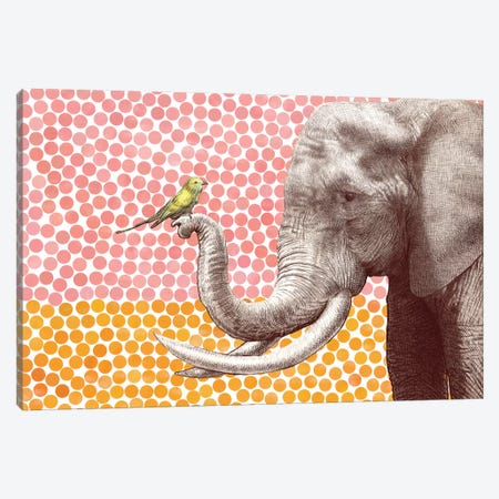 Elephant and Bird II Canvas Print #EFN43} by Eric Fan Canvas Print