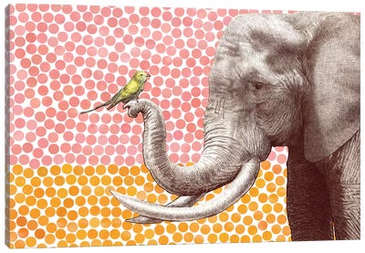 Elephant and Bird II Canvas Art Print - Elephant Art