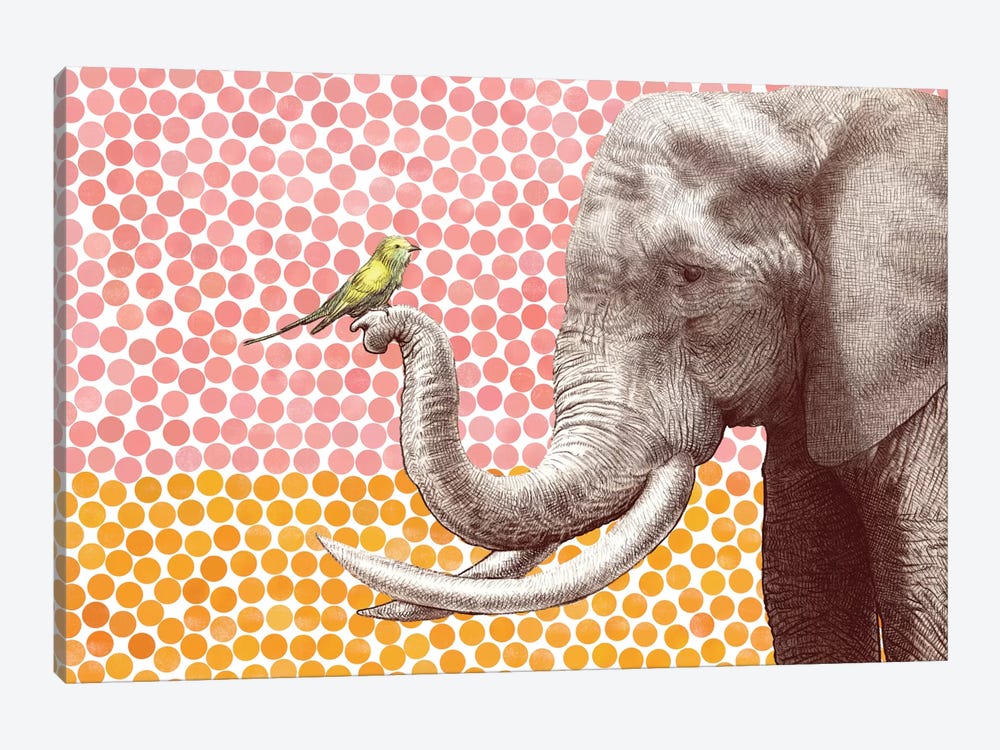 Elephant and Bird II by Eric Fan 1-piece Canvas Art