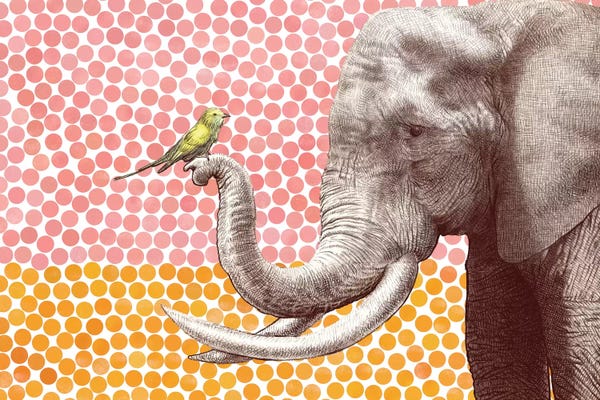 Elephants: Elephant and Bird II by Eric Fan