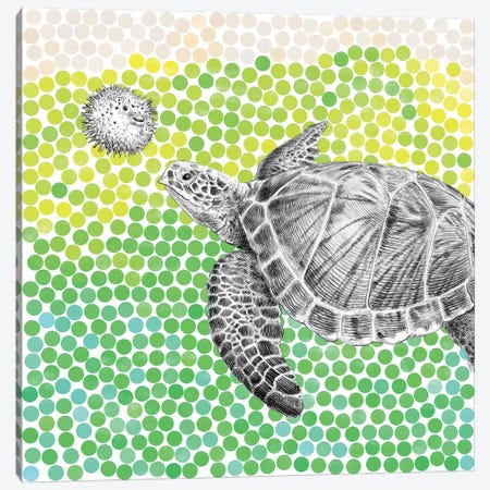 Turtle and Puffer Fish I Canvas Print #EFN44} by Eric Fan Canvas Art