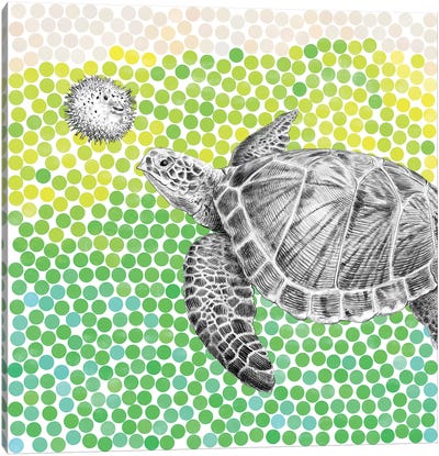 Turtle and Puffer Fish I Canvas Art Print - Reptile & Amphibian Art