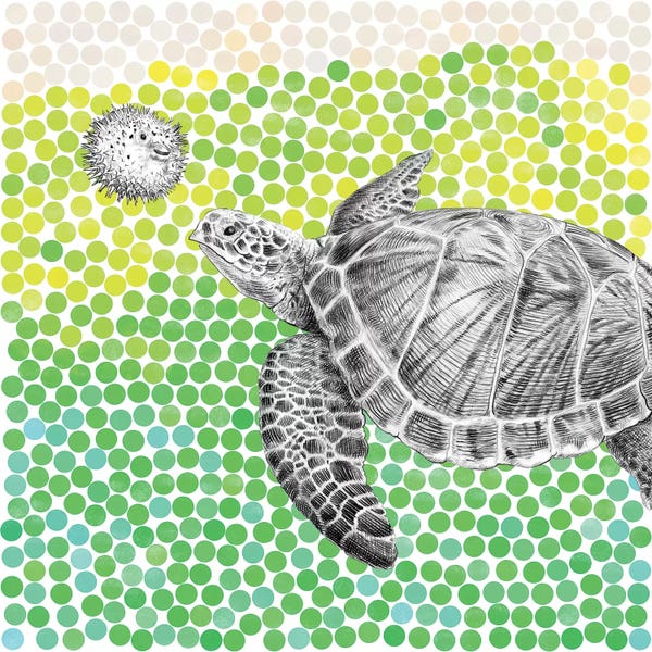 Kids Ocean Life Art: Turtle and Puffer Fish I by Eric Fan
