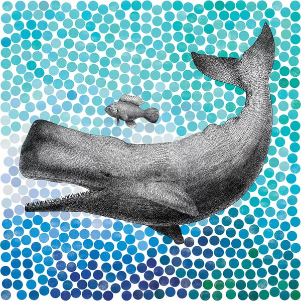 Fish: Whale and Fish I by Eric Fan