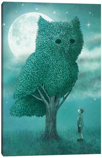 Cover Art Canvas Art Print - Owl Art