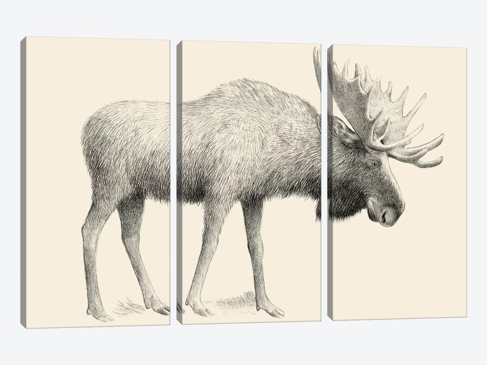 Moose by Eric Fan 3-piece Canvas Wall Art