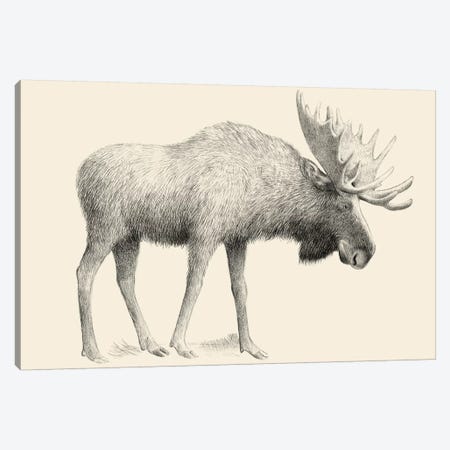 Moose Canvas Print #EFN61} by Eric Fan Canvas Art Print