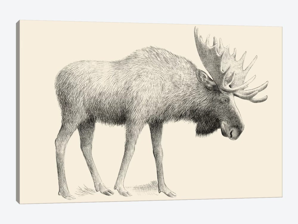 Moose by Eric Fan 1-piece Canvas Artwork
