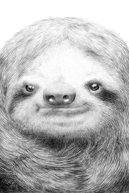 Sloth by Eric Fan wall art