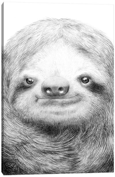 Sloth Canvas Art Print