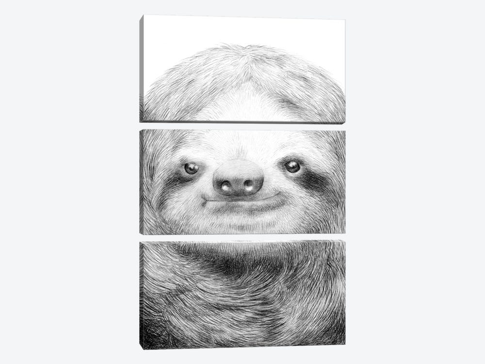 Sloth by Eric Fan 3-piece Canvas Art Print