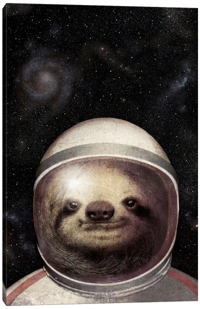 Space Sloth Canvas Art Print - Book Illustrations 