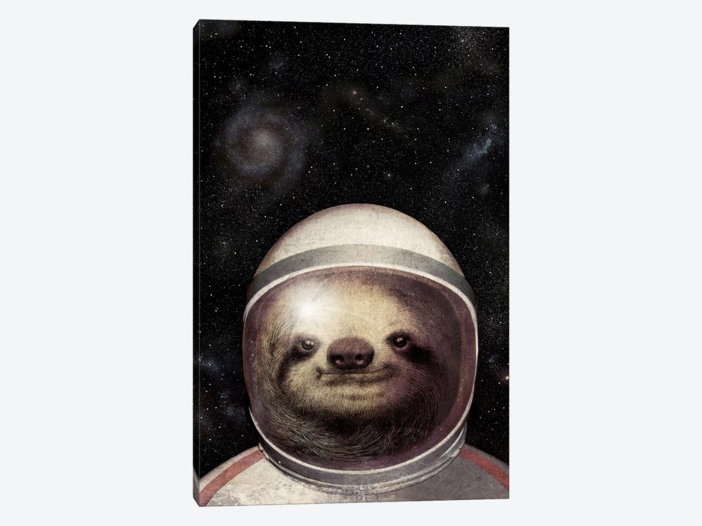 Space Sloth by Eric Fan 1-piece Canvas Wall Art