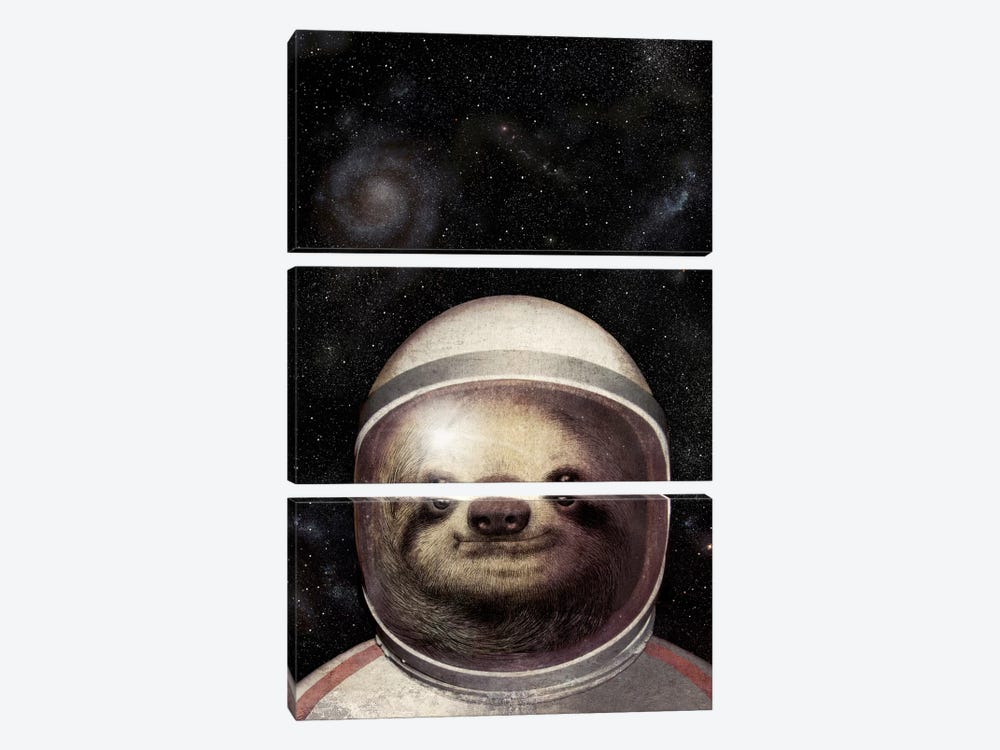 Space Sloth by Eric Fan 3-piece Canvas Wall Art