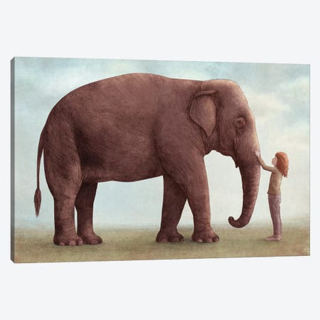 One Amazing Elephant I Canvas Print #EFN89} by Eric Fan Canvas Art Print