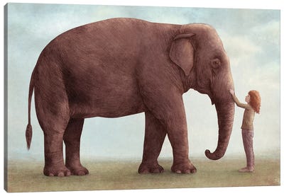 One Amazing Elephant I Canvas Art Print - Children's Illustrations 