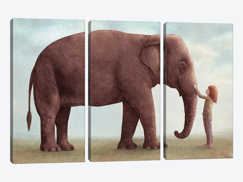 One Amazing Elephant I by Eric Fan 3-piece Canvas Artwork