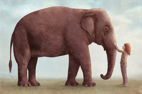 Book illustrations: One Amazing Elephant I by Eric Fan