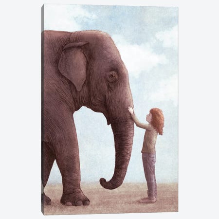 One Amazing Elephant II Canvas Print #EFN90} by Eric Fan Canvas Artwork