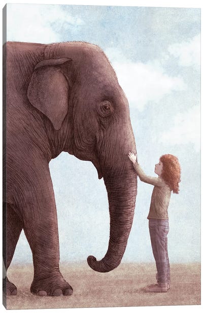 One Amazing Elephant II Canvas Art Print - Children's Illustrations 
