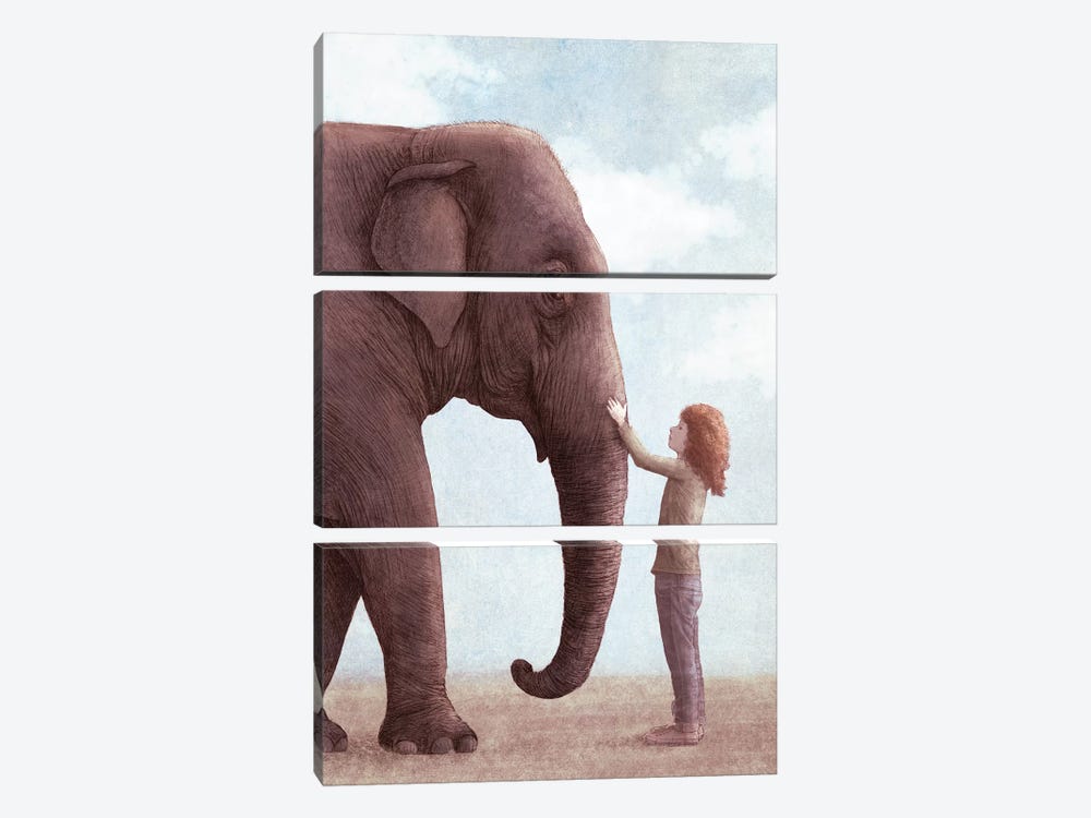 One Amazing Elephant II by Eric Fan 3-piece Canvas Art