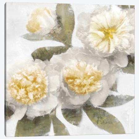 Ivory Bloom Canvas Print #EFO14} by Emily Ford Canvas Wall Art